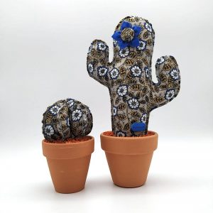 Cactus Flores Azules Dúo