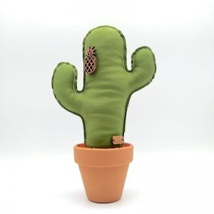 Cactus Verde Claro