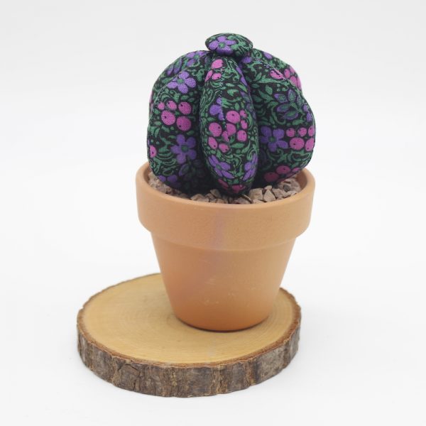 Cactus de Tela PillaCuriosos